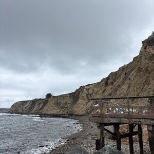 Meet your Posher, Sydney